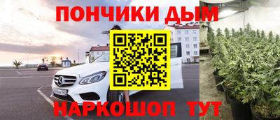 ALPHA PVP Камышлов