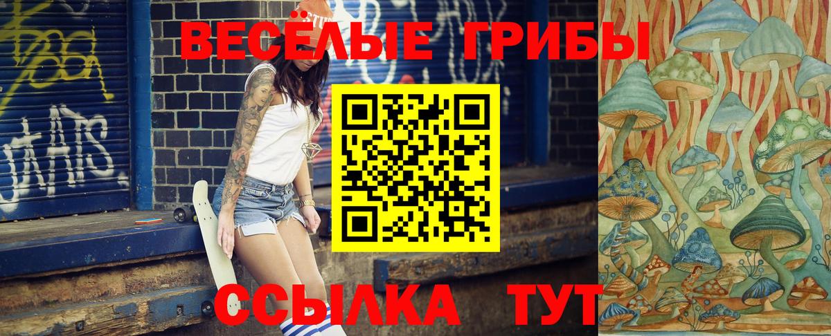 Красноярск  Псилоцибиновые грибы Psilocybe  Вход с VPN 